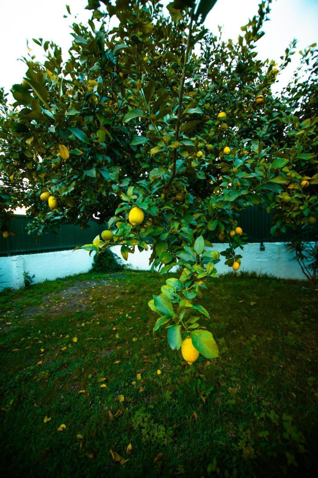Poolemonhouse Apartment Fernao Ferro Bagian luar foto